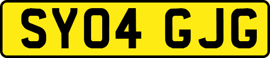 SY04GJG