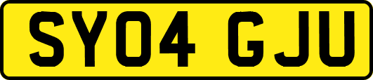 SY04GJU
