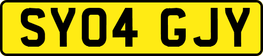 SY04GJY