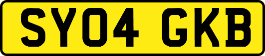 SY04GKB