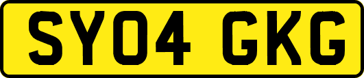 SY04GKG