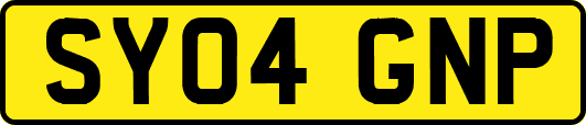 SY04GNP