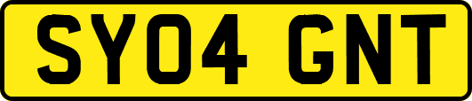 SY04GNT