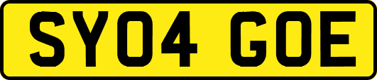 SY04GOE