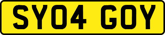 SY04GOY
