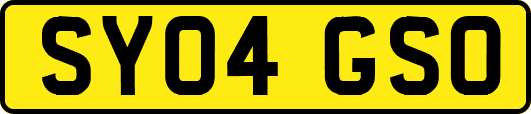 SY04GSO