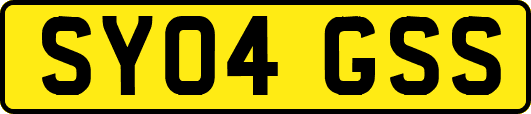 SY04GSS