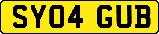 SY04GUB