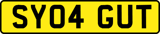 SY04GUT