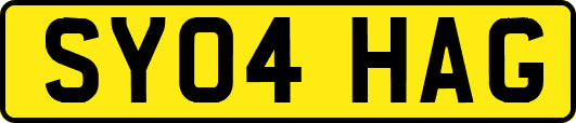 SY04HAG