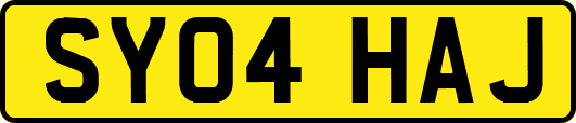 SY04HAJ