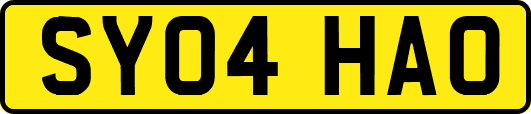 SY04HAO