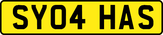 SY04HAS