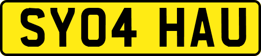 SY04HAU