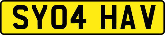 SY04HAV