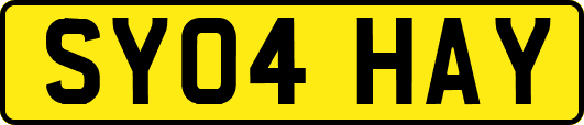 SY04HAY