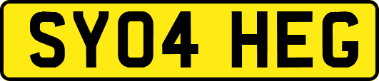SY04HEG