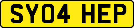 SY04HEP