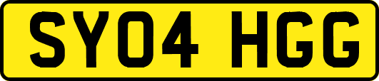SY04HGG