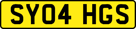 SY04HGS