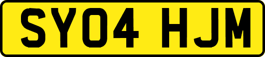 SY04HJM