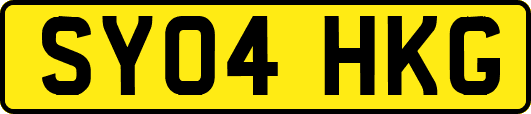 SY04HKG