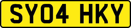 SY04HKY