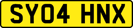SY04HNX