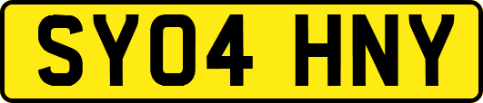 SY04HNY