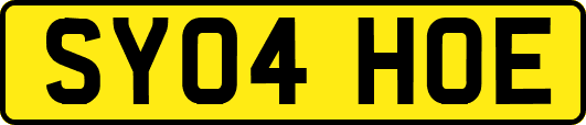 SY04HOE