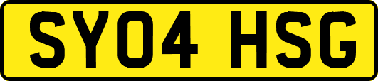 SY04HSG