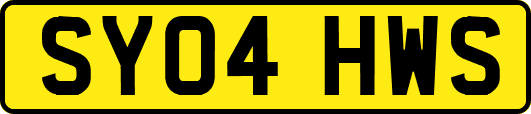 SY04HWS
