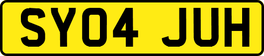 SY04JUH