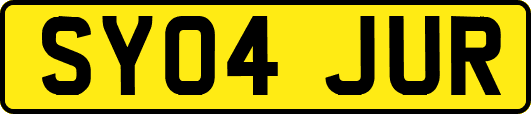 SY04JUR