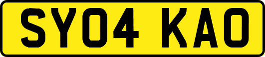 SY04KAO