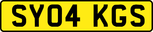 SY04KGS