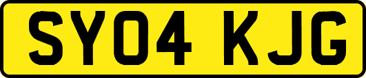 SY04KJG