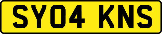 SY04KNS