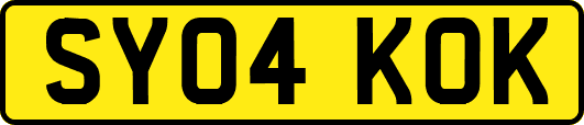 SY04KOK