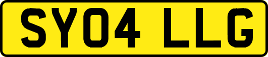 SY04LLG