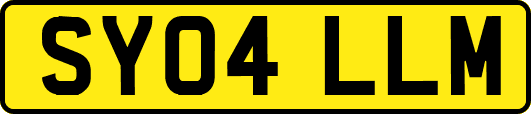 SY04LLM
