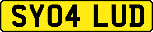SY04LUD