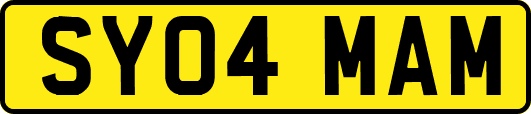 SY04MAM