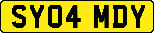 SY04MDY