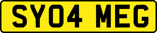 SY04MEG