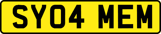 SY04MEM