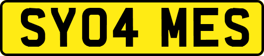 SY04MES