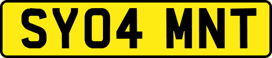 SY04MNT