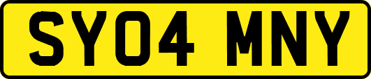 SY04MNY