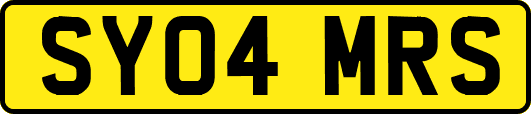 SY04MRS